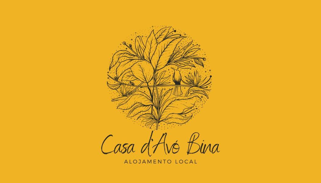 Casa D'Avo Bina Alojamento Local Viana do Castelo Kültér fotó